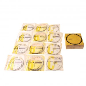 Kit anelli tenuta pistone...