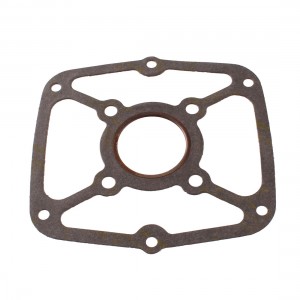 Guarnizione testa cilindro...