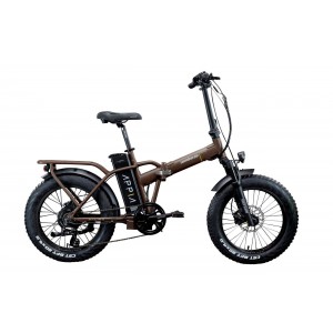 Fat Bike elettrica... 2