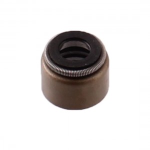 Paraolio valvole cilindro...