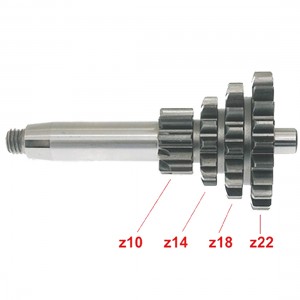 Ingranaggio quadruplo per... 2