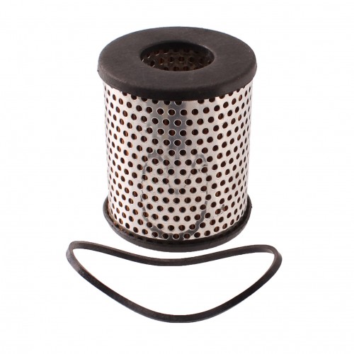 Cartuccia filtro olio per Austin...