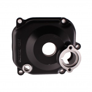 Coperchio testa cilindro...