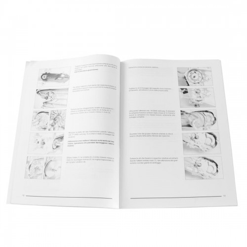 Manuale officina in PDF per Italjet...