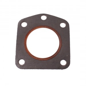 Guarnizione testa Franco...