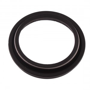 Parapolvere da 43 x 53 mm...