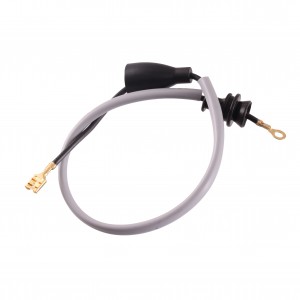 Cavo tra puntine e bobina...