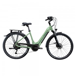 Bicicletta elettrica... 2