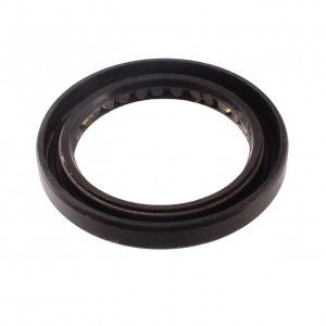 Paraolio 40 x 55 x 7 mm...