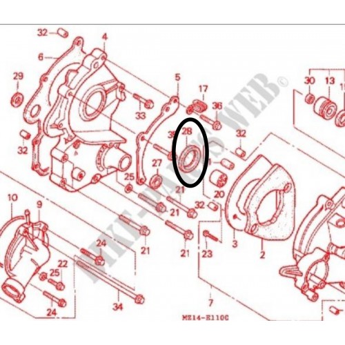 Paraolio 40 x 55 x 7 mm carter pompa...