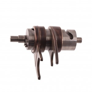 Albero desmodromico cambio...