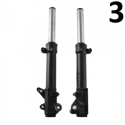 Coppia foderi con steli forcella...