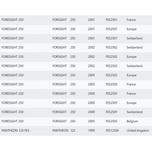 Ventola radiatore Honda Pantheon 125...