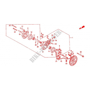 Ingranaggi pompa olio Honda... 2