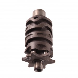 Albero desmodromico cambio...