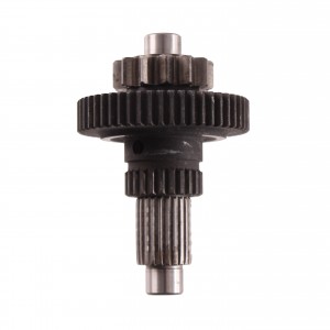 Ingranaggi riinvio motorino...