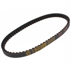 Cinghia trasmissione...