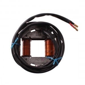 Statore Ducati FPB A-1523... 2