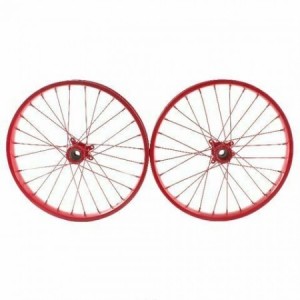 Coppia ruote bici da 20...