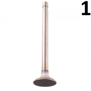 Valvola testa Fiat 500 F L... 2