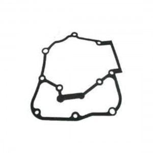 Guarnizione blocco motore...