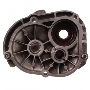 Carter mozzo ingranaggi... 2