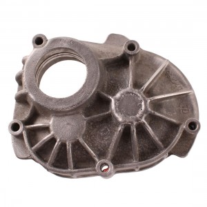 Coperchio ingranaggi...