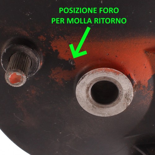 Piatto portaceppi posteriore destro...