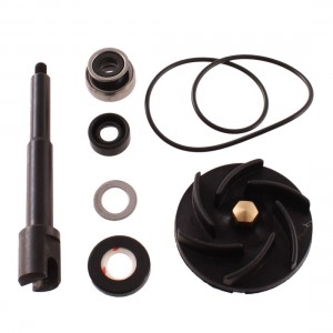 Kit revisione pompa acqua...