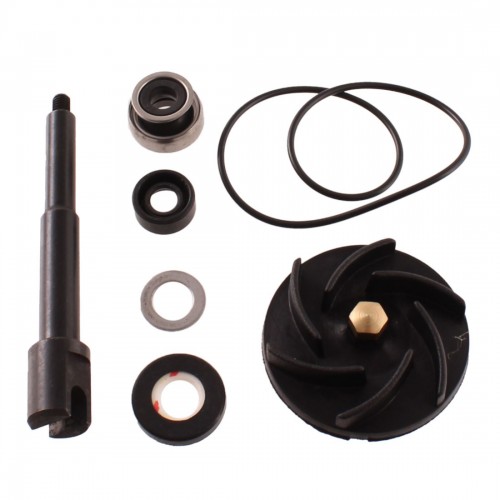 Kit revisione pompa acqua Beverly 500...