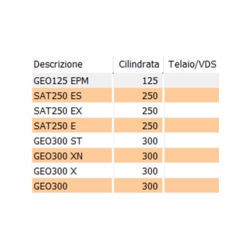 Targhetta scudo anteriore leone per...