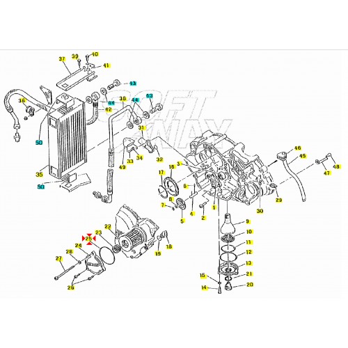 Or tappo olio Cagiva W12 River -...
