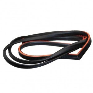 Guarnizione completa porta...