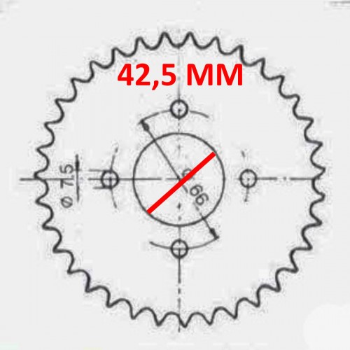 Corona trasmissione catena...