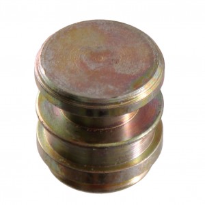 Pistoncino cilindretto...