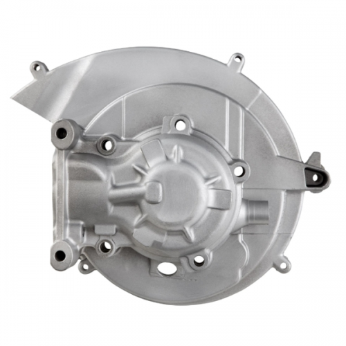 Carter motore a puntine Piaggio Ciao...