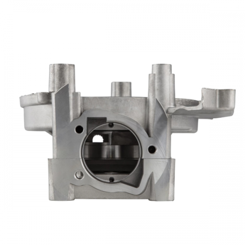 Carter motore a puntine Piaggio Ciao...