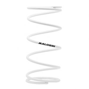 Molla contrasto scooter...