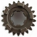 Ingranaggio sesta del cambio Gilera  3166804
