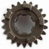 Ingranaggio sesta del cambio Gilera  3166804