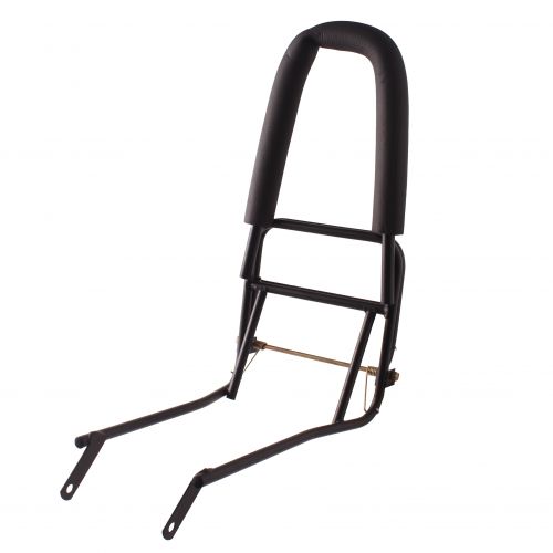 Portapacchi posteriore con schienale...