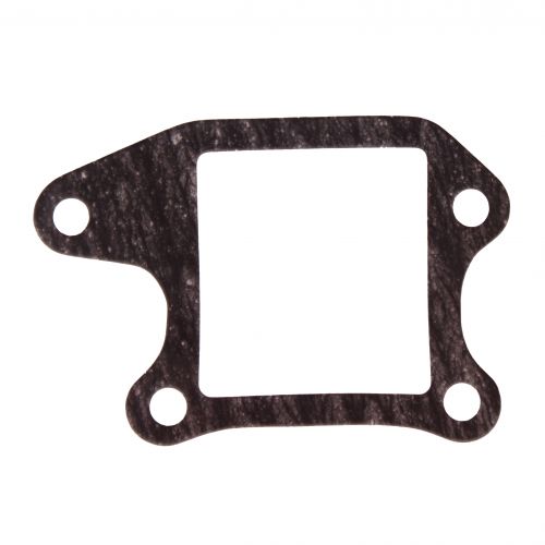 Guarnizione collettore aspirazione...