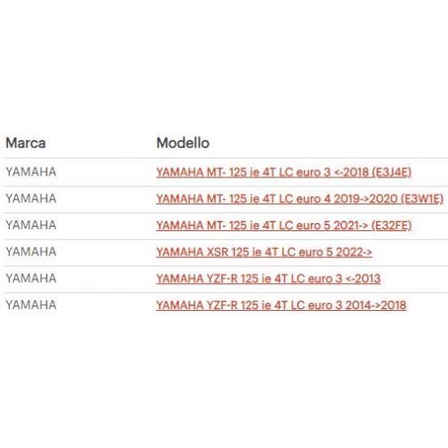 Filtro aria da 35,5 E14 - Malossi...