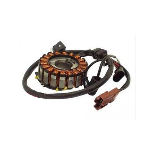 Statore Kokusan motore Piaggio Quasar...