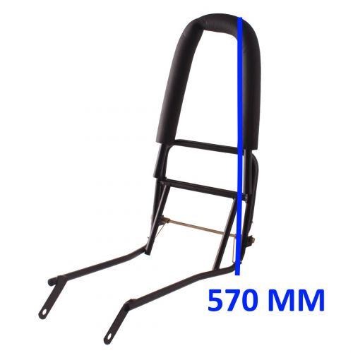 Portapacchi posteriore con schienale...