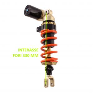 Ammortizzatore posteriore... 2