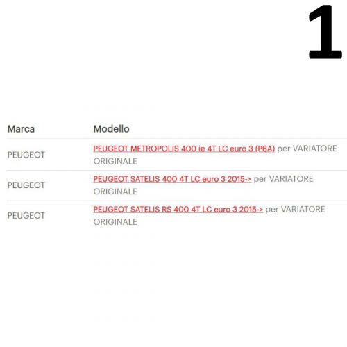 Kit 8 rulli variatore 25 x 14,9 Malossi