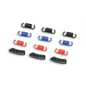 Kit molle frizioni Malossi...