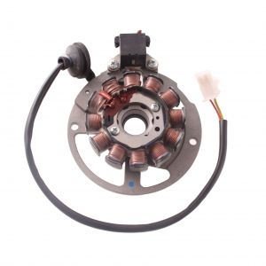 Statore 12 poli per...