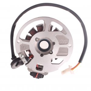 Statore 12 poli per... 2